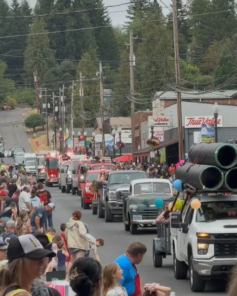 A crowd gathers along a street to watch a parade of vehicles.
