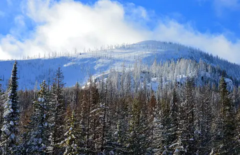 A snowy mountain landscape with evergreen trees under a blue sky.