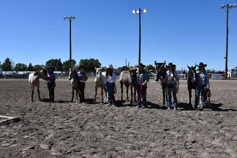 4-H trainers, Eastern Idaho State Fair.