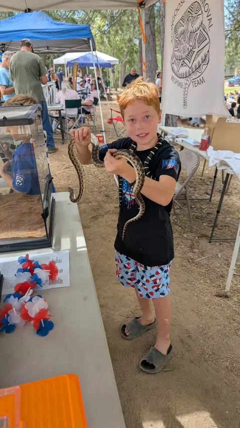 A young boy holds a snake at an outdoor event.