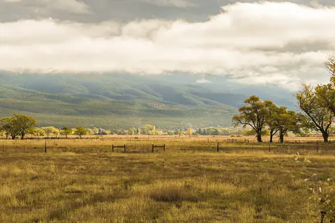 A landscape view shows a grassy field with trees under a cloudy sky and mountains in the background.