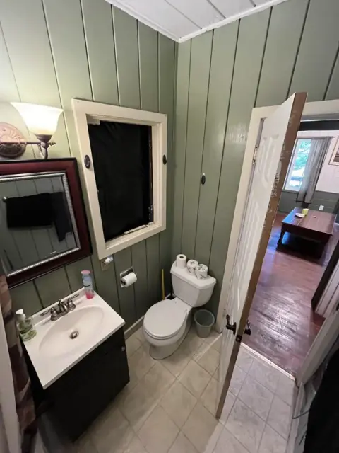 A small bathroom with green paneled walls, a sink, and a toilet.