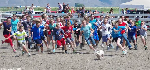 A large group of children chase a piglet across a dirt enclosure.