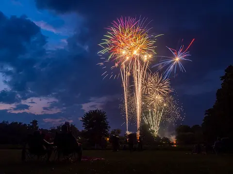 People watch fireworks lighting up the night sky over a park.