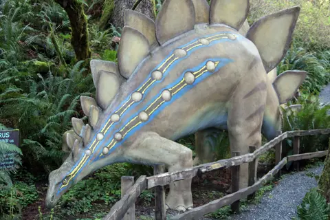 A life-sized sculpture of a stegosaurus stands among ferns and trees next to a wooden fence.