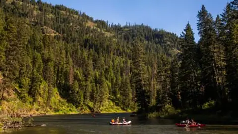 A wide river flows through a heavily forested canyon with rafts on the water.