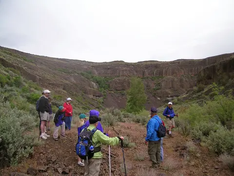 A group of hikers walks along a trail in a rocky valley.