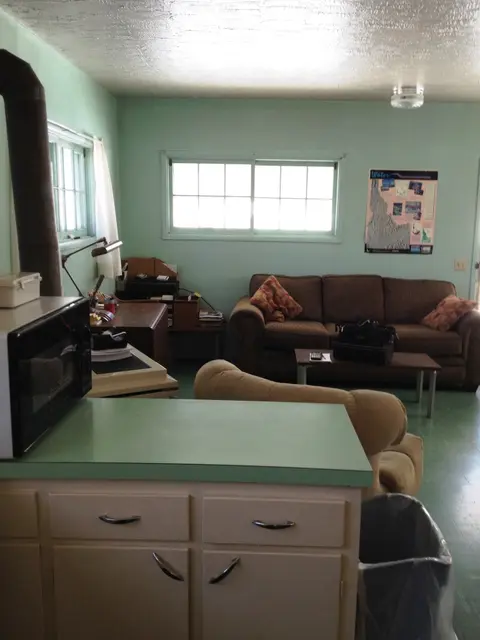 An interior view of a room with light green walls, a couch, and a counter with a microwave.