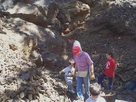 A group of people searching through a rocky area.