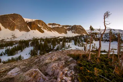 A scenic view of a snowy mountain range and evergreen trees.