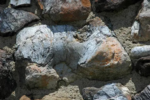 Dinosaur bone wall detail, Fossil Cabin.