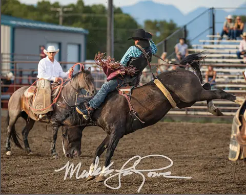A cowboy rides a bucking horse at a rodeo arena.