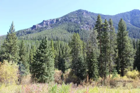 A landscape photograph showing a forested mountain under a clear blue sky.