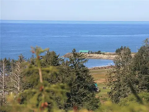 A scenic view of a coastal area with trees and the ocean.