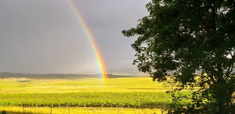 A bright rainbow shines over a field under a cloudy sky.