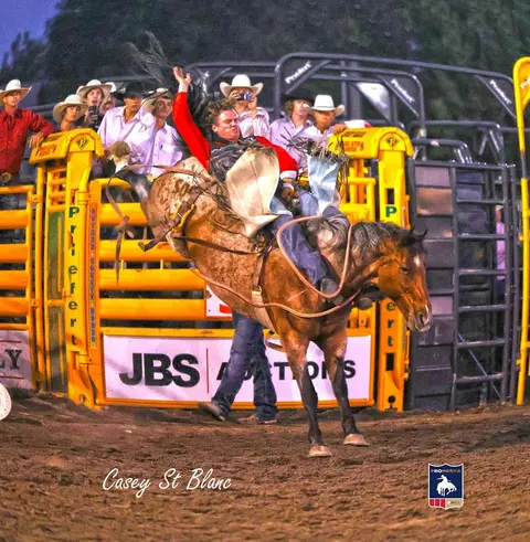 A cowboy rides a bucking horse out of a chute at a rodeo event.