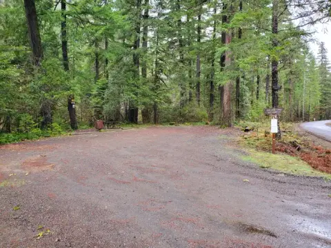 A dirt parking area surrounded by dense forest and trees.