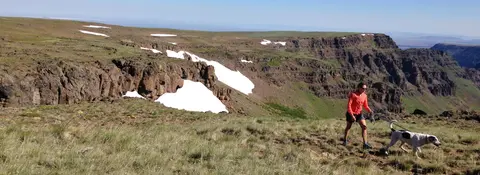 A person hiking with a dog near rocky cliffs and patches of snow.