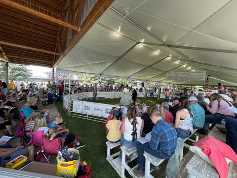 A crowd of people seated inside a large tent watching a livestock show.
