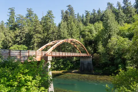 A wooden arched bridge crosses over a river surrounded by dense forest.