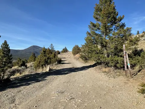 A dirt road leads up a hill with trees and a mountain under a blue sky.