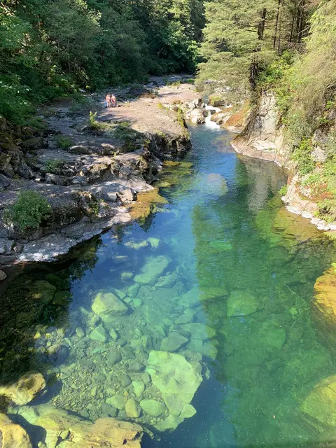 A clear river flowing through a forested rocky landscape.
