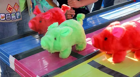 Plush pigs on a carnival game track.