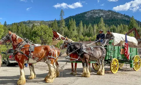 Draft horses pulling a covered wagon with people riding in a mountain landscape.