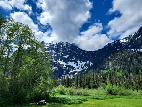 A scenic landscape view of snow-capped mountains and a lush green meadow.