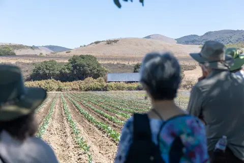 People looking at a large agricultural field with hills in the background.