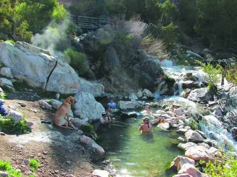 People and a dog relax in a natural hot spring near a stream and waterfall.