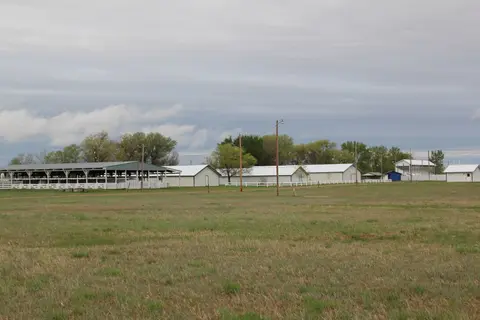 An exterior view of several farm or fairground buildings across a grassy field.