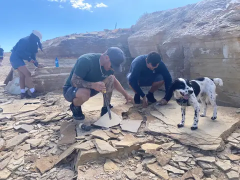 People working with rock slabs in an outdoor quarry with a dog.