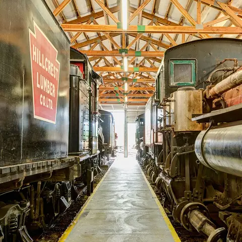 Historic steam locomotives are parked inside a wooden-framed shed.