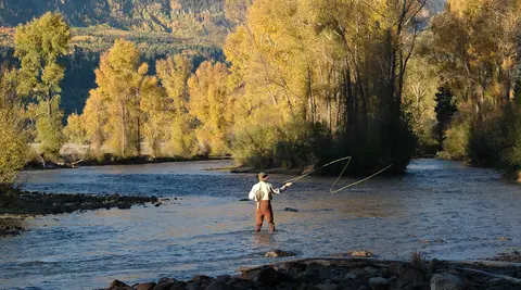 A person fly fishes in a river surrounded by autumn trees and mountains.