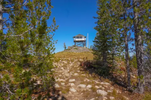A fire lookout tower sits atop a rocky hill surrounded by pine trees under a clear blue sky.