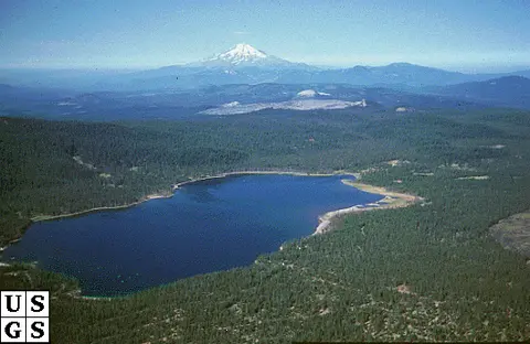 An aerial view of a forest lake with a snowy mountain in the background.
