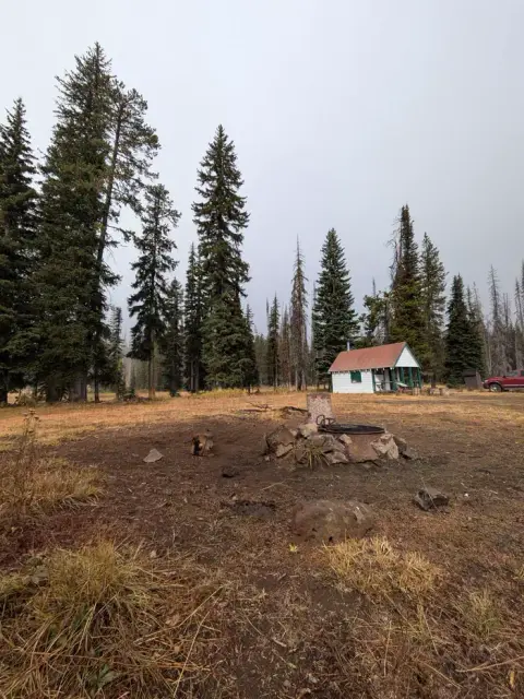 A small cabin sits in a clearing surrounded by tall pine trees.