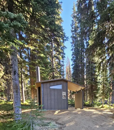 A brown outdoor restroom building stands surrounded by tall evergreen trees in a forest.