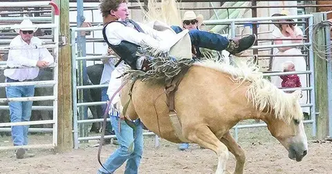 A cowboy rides a bucking horse in a rodeo arena.