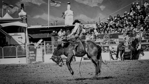 A cowboy rides a bucking horse at a rodeo.