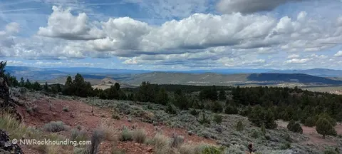 A wide view of rolling hills, sparse trees, and a cloudy sky.