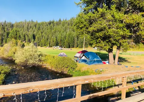 Tents set up in a grassy area near a stream, with a wooden bridge in the foreground and a dense forest in the background.