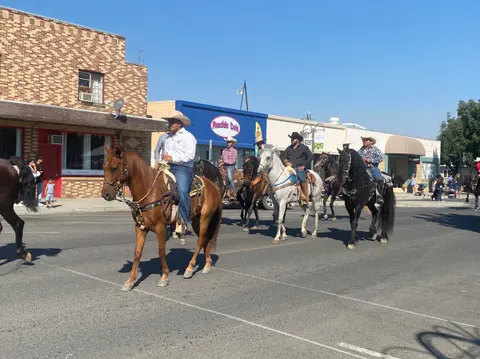 A group of people riding horses down a city street during a parade or event.