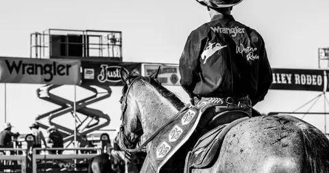 A cowboy on a horse at a rodeo arena.