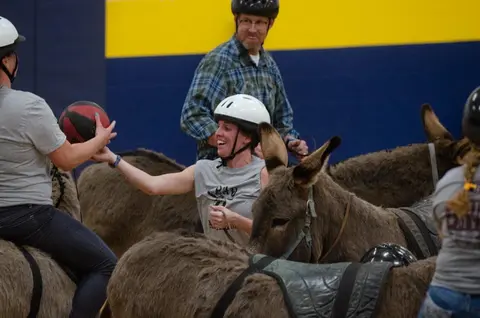 People wearing helmets play a game while riding donkeys indoors.
