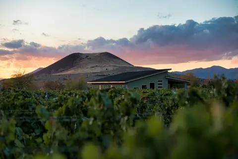 A modern building stands behind a vineyard with a mountain and sunset sky in the background.