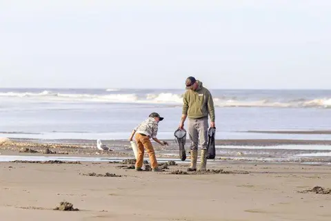 Two people dig in the sand on a beach.
