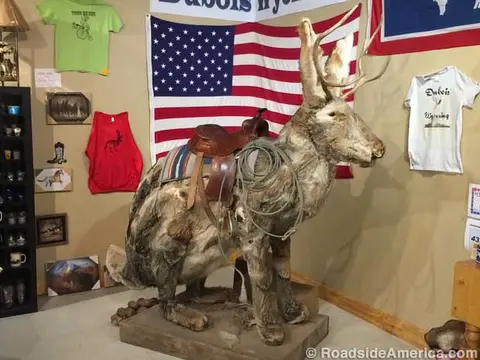A taxidermy jackalope with a saddle stands indoors against an American flag backdrop.