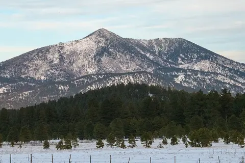 A snow-dusted mountain rises behind a dense forest and a snowy field.